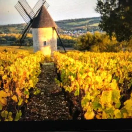 Maison M On The Dordogne Apartment Sainte-Foy-la-Grande