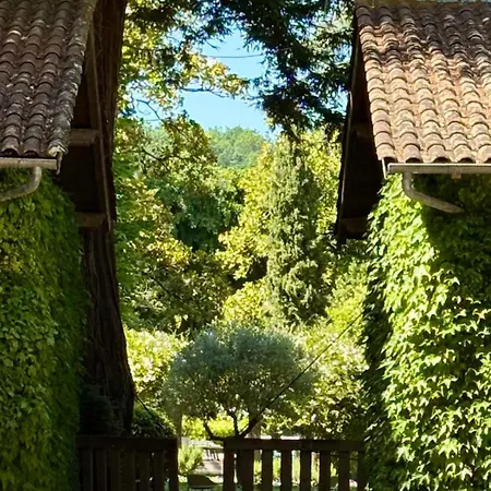 Maison M On The Dordogne Luxurious * Sainte-Foy-la-Grande